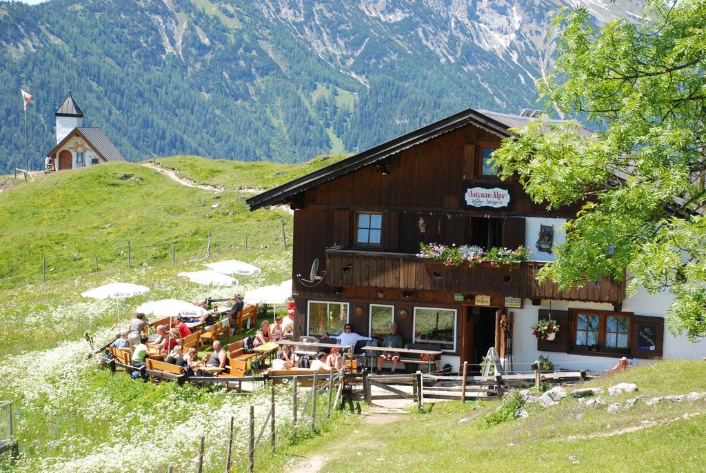 Hüttenansicht im Sommer