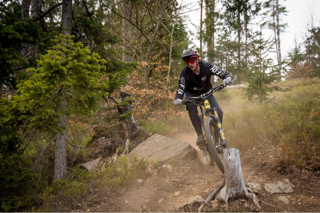 MTB Trails Falkenberg - Lukas Krische