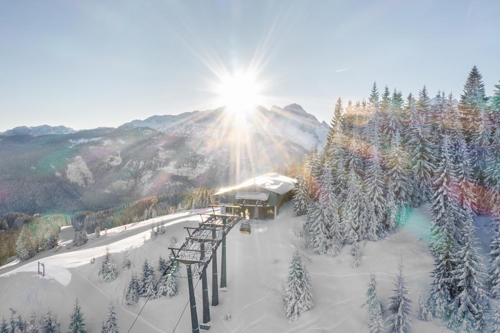 Bergstation-Hornbahn