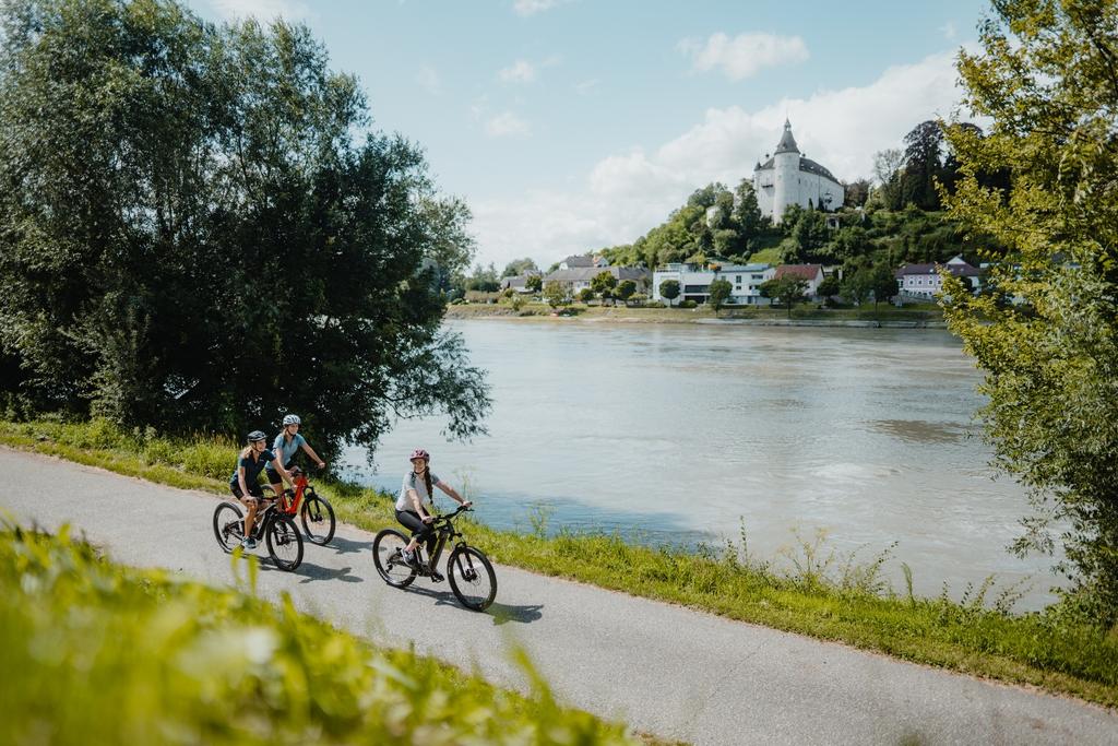 Radeln mit Blick auf Ottensheim