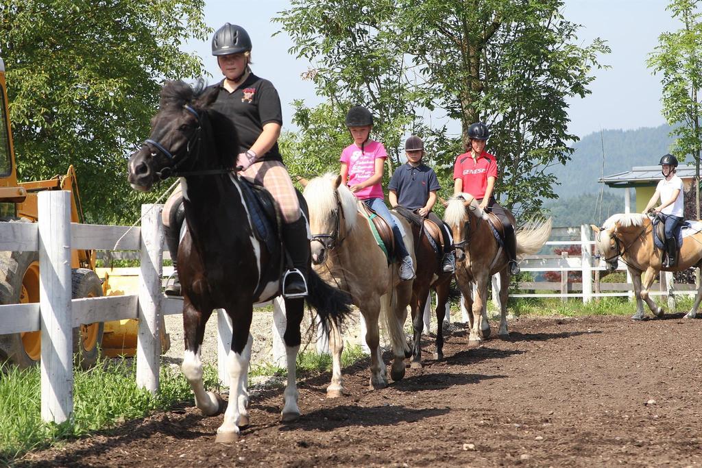 Reiten-Suedkaernten