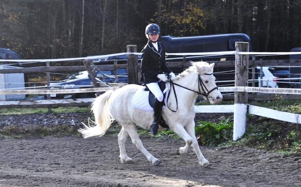 Reiten