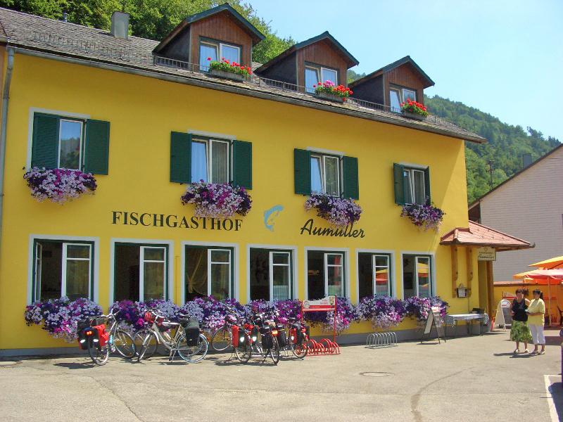 Fischgasthof_Aum%c3%bcller1_web