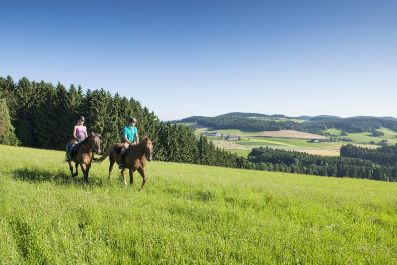 Reiten