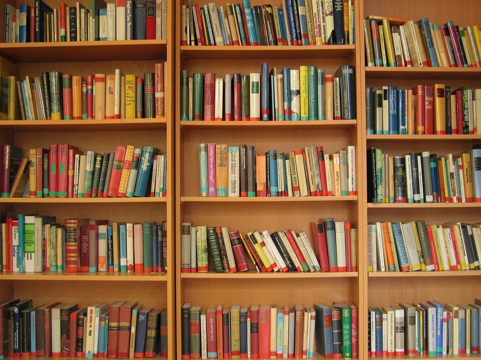Bücher im Regal