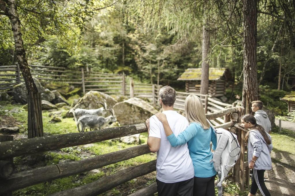 Familie und Tiere