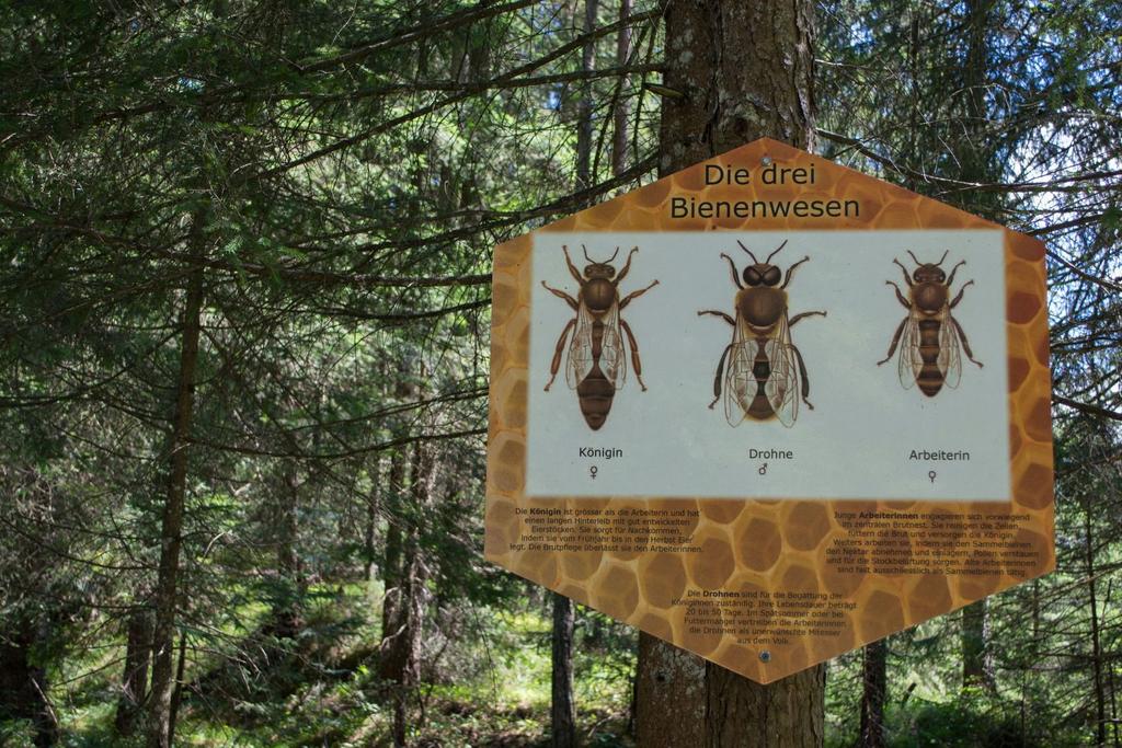 Bienenlehrpfad (10).jpg