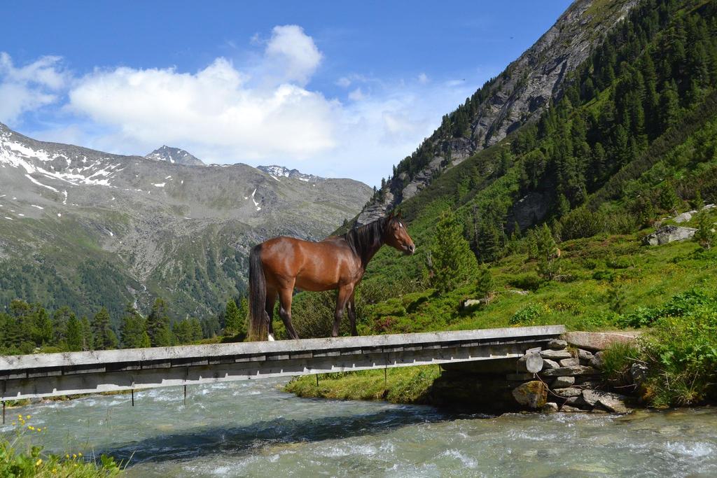 Reiten