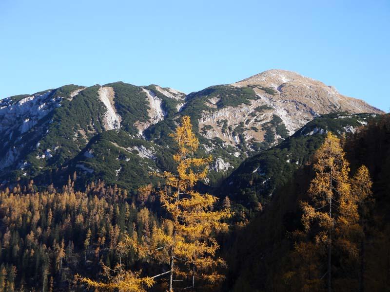 Schönberg