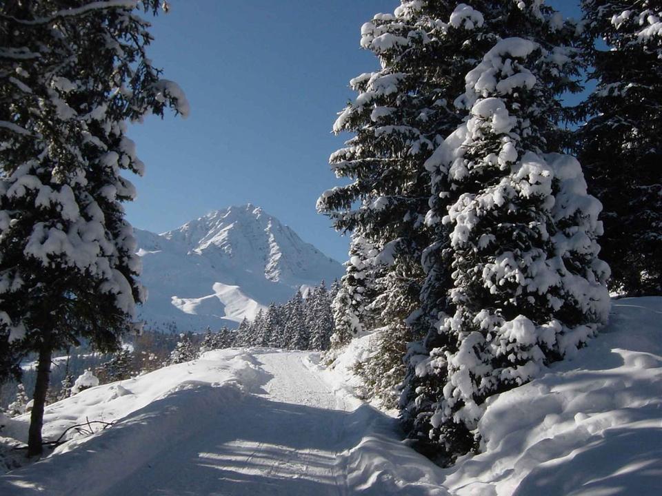 Rodelbahn-Ranggerköpfl.jpg2048x1536PX.jpg