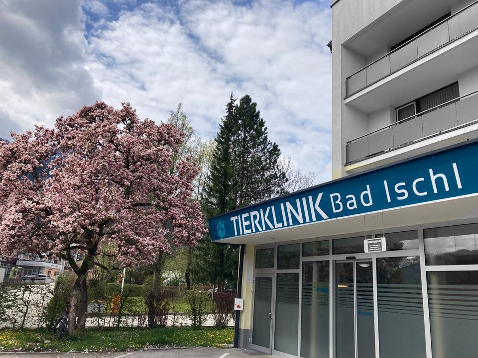 Tierklinik Bad Ischl
