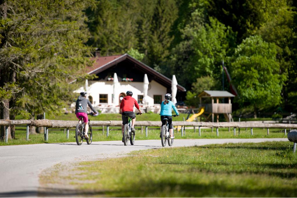 Fahrradfahren bei der Musteralpe am Plansee
