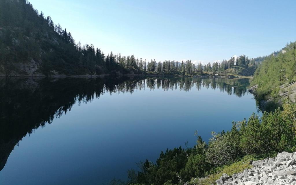 Fischen, Lahngangsee, Sommer