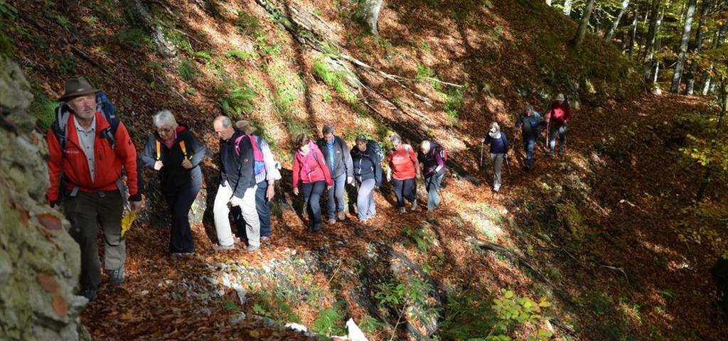 Herbstwanderung am Buchensteig