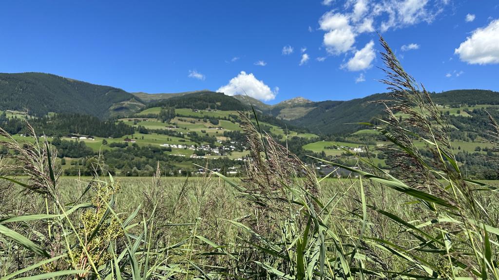 Geschützter Landschaftsteil "Luzia Lacke" mit herrlicher Bergkulisse