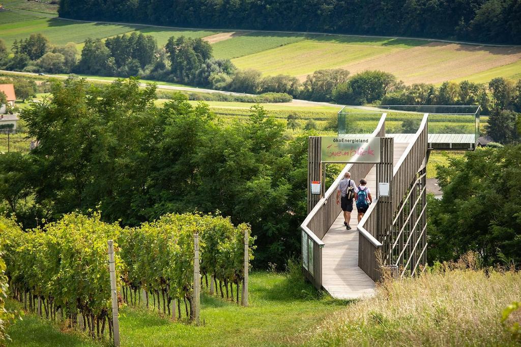 Weinblick I