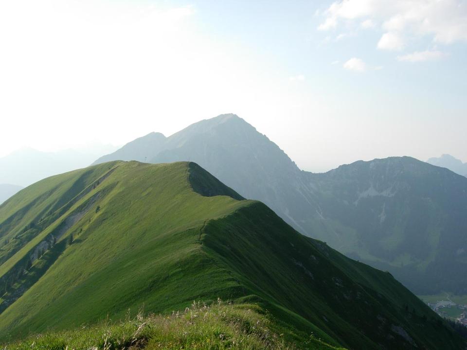 2009096.jpg