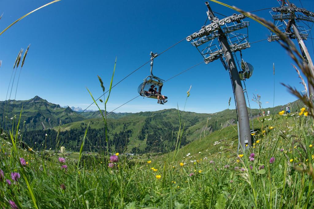 Seilbahnen Damüls Sommer