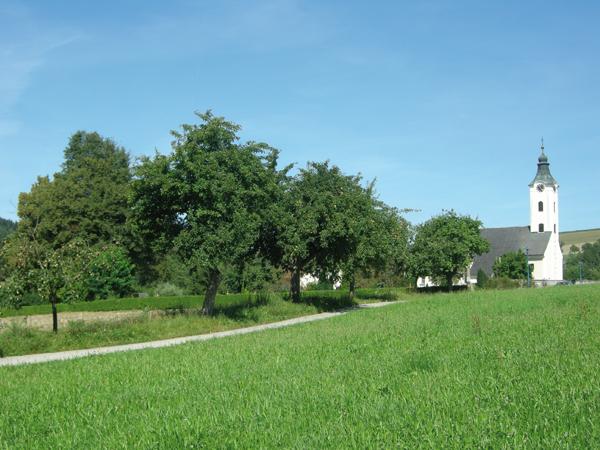 Schönau - Bewegungs-Arena