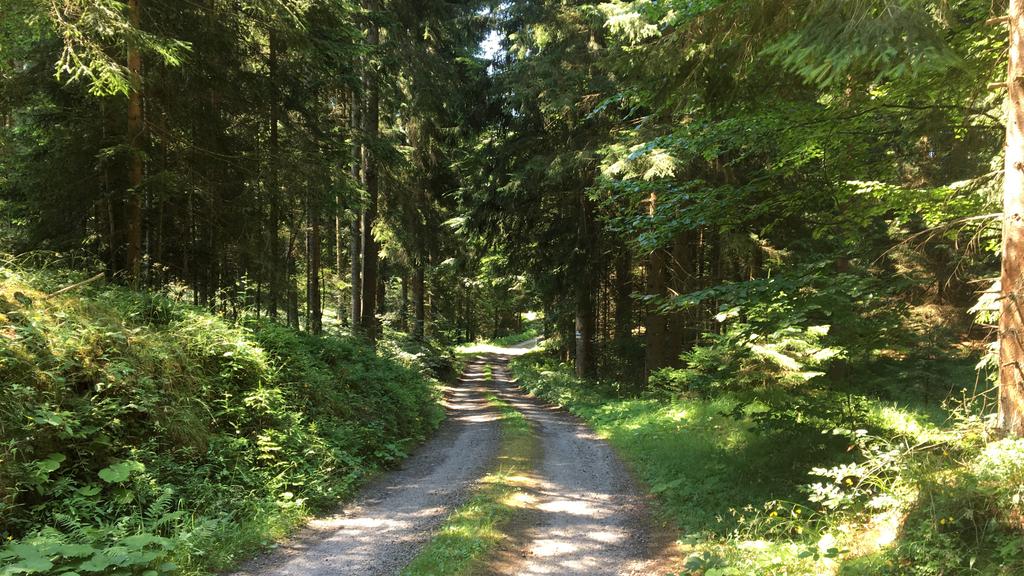 MTB-Runde Leopoldschlag