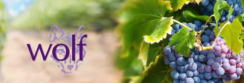 Weingut Wolf