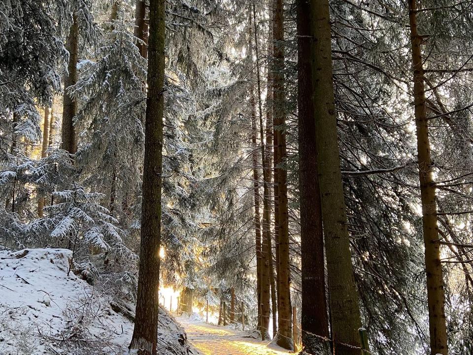 Haus Berchtold - Wanderweg Richtung Sulzberg