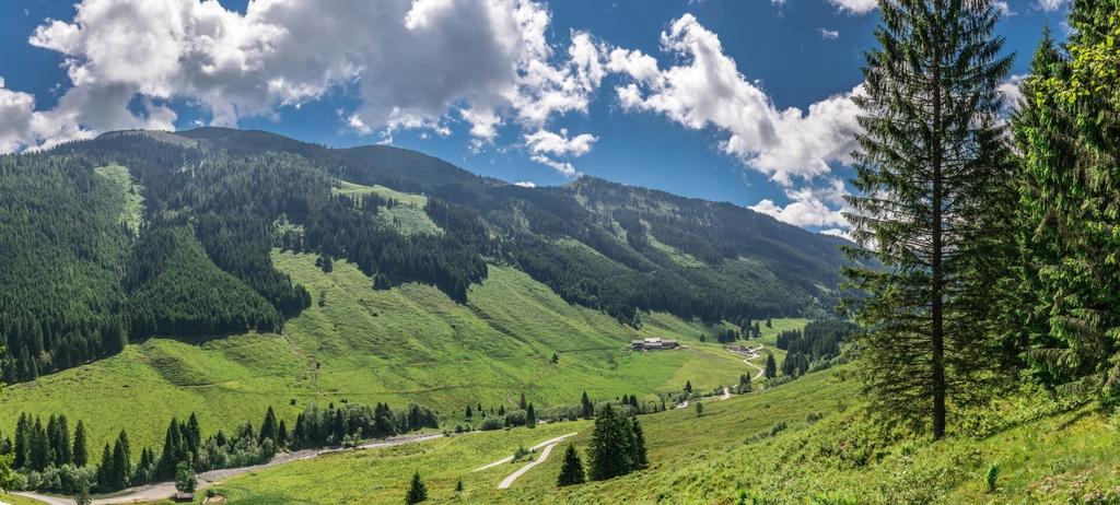 Wildschönau Schönanger