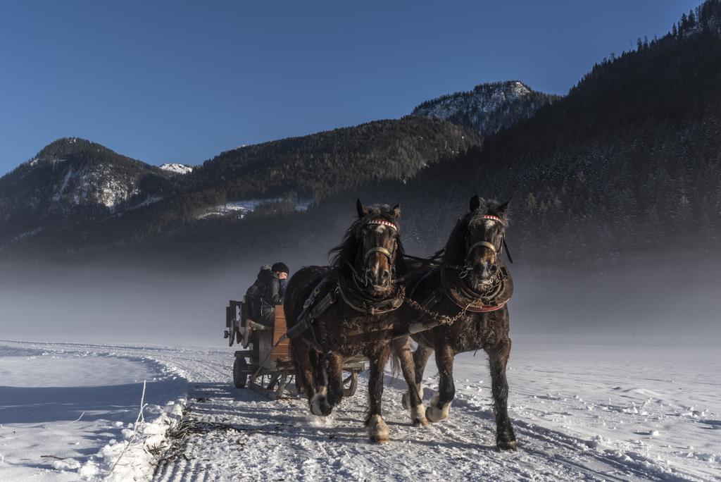 Pferdeschlittenfahrt Gosau