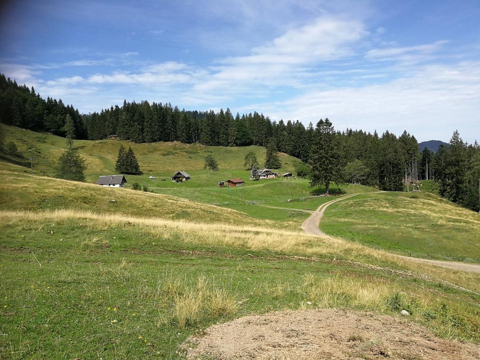 Mittereggalm