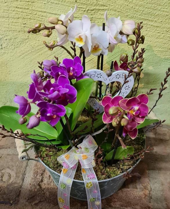 Blumen