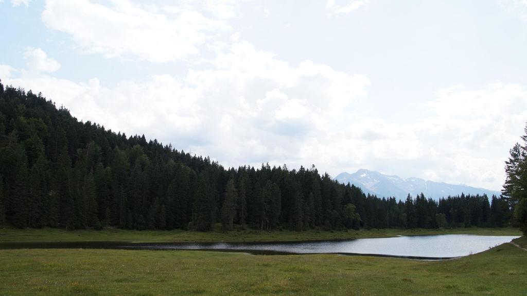 Wildmoossee