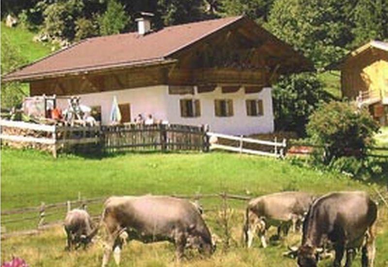 Oberhausalm 1.350m - Sommer