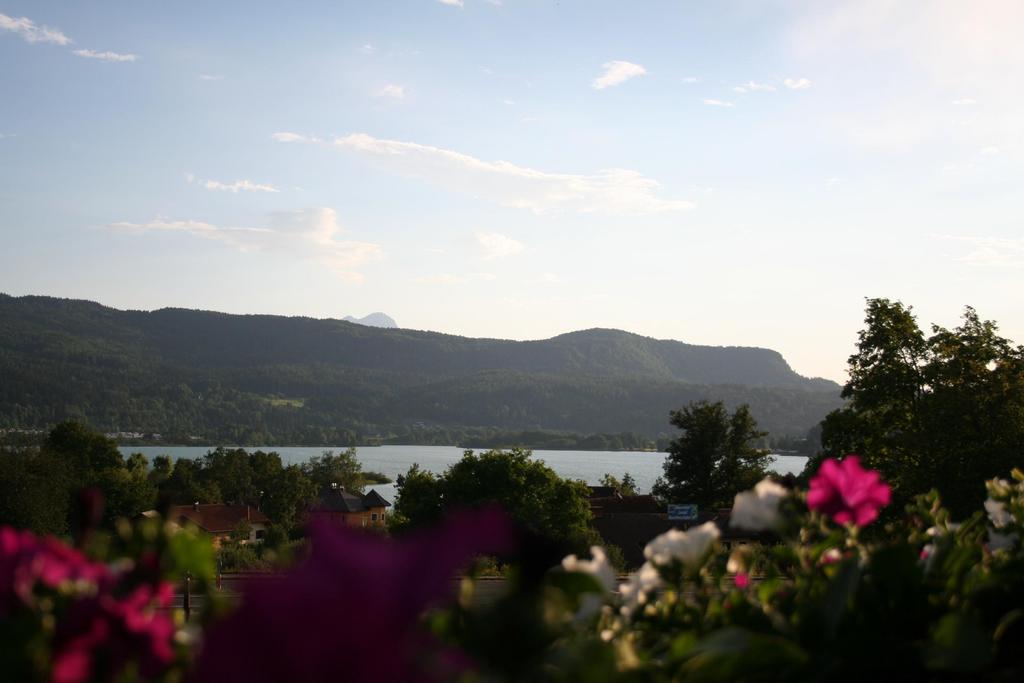 Ausblick