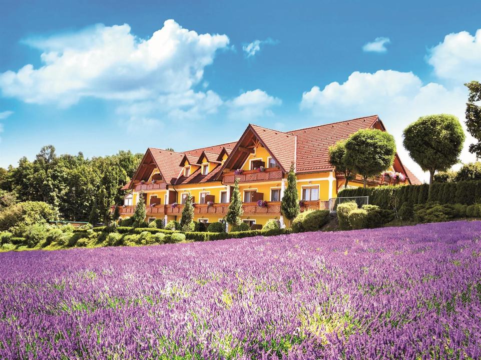 Haus-Lavendel.1