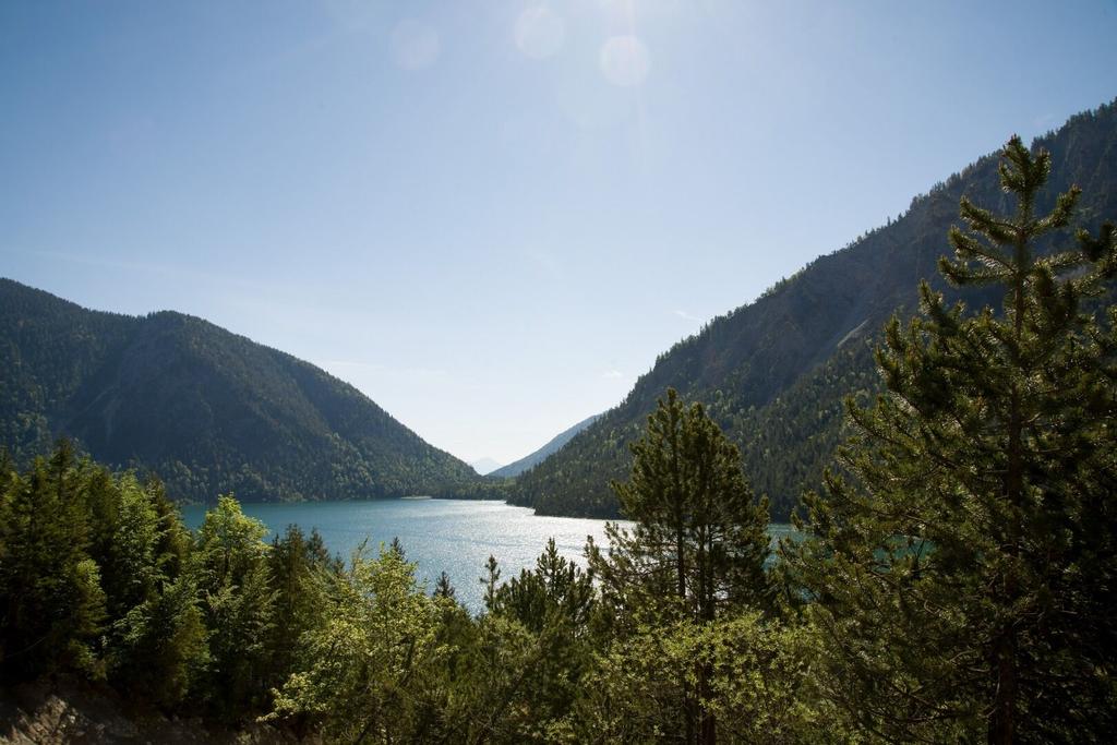 Wandern am Plansee