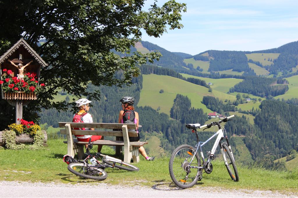 Radfahren_Naturpark Almenland_Oststeiermark
