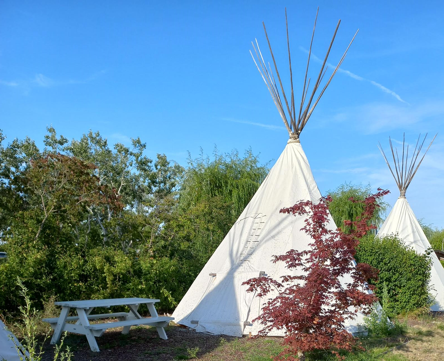 Tipis.jpg
