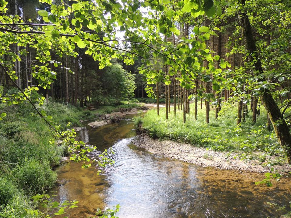 Wandern im Mühltal