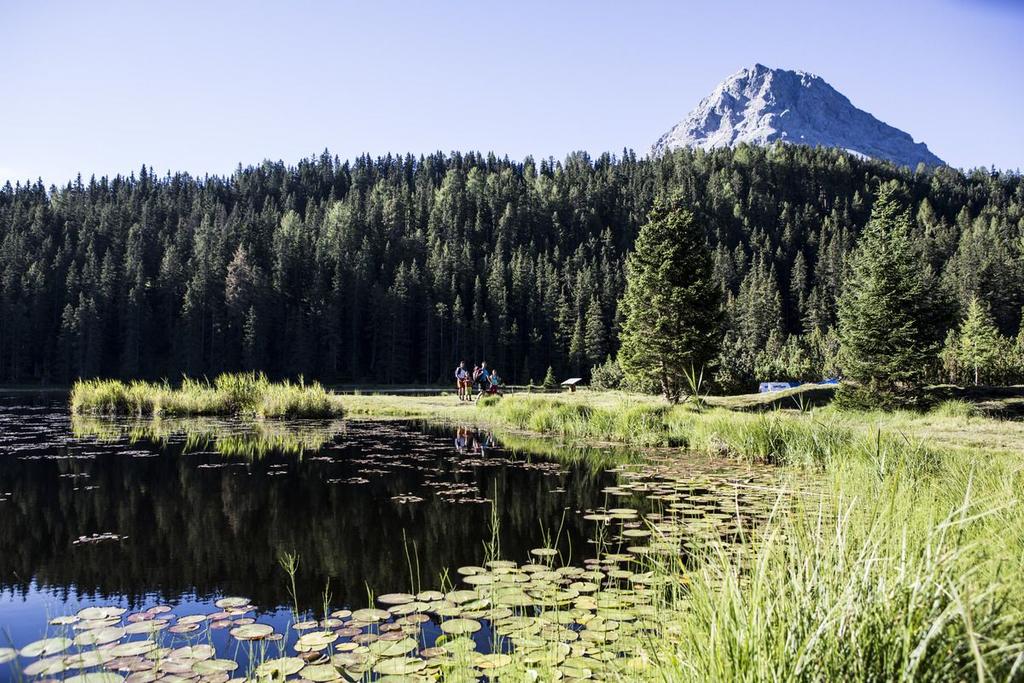 ©-TVB-Tiroler-Oberland-Nauders-Daniel-Zangerl-Wandern-Familie-Schwarzersee-2016 (40).jpg