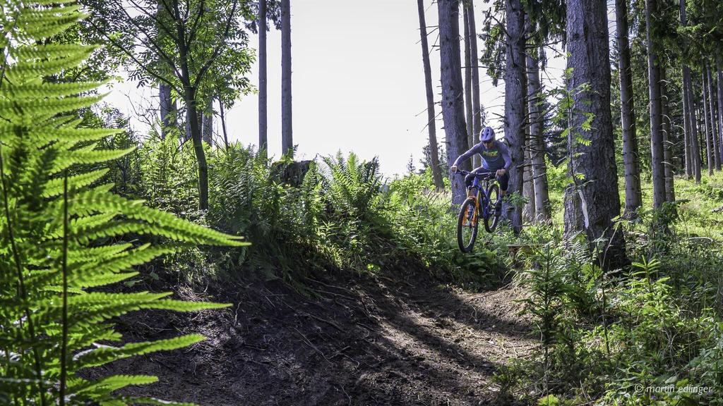 Brandwaldsteig-Singletrail1-Murtal-Steiermark