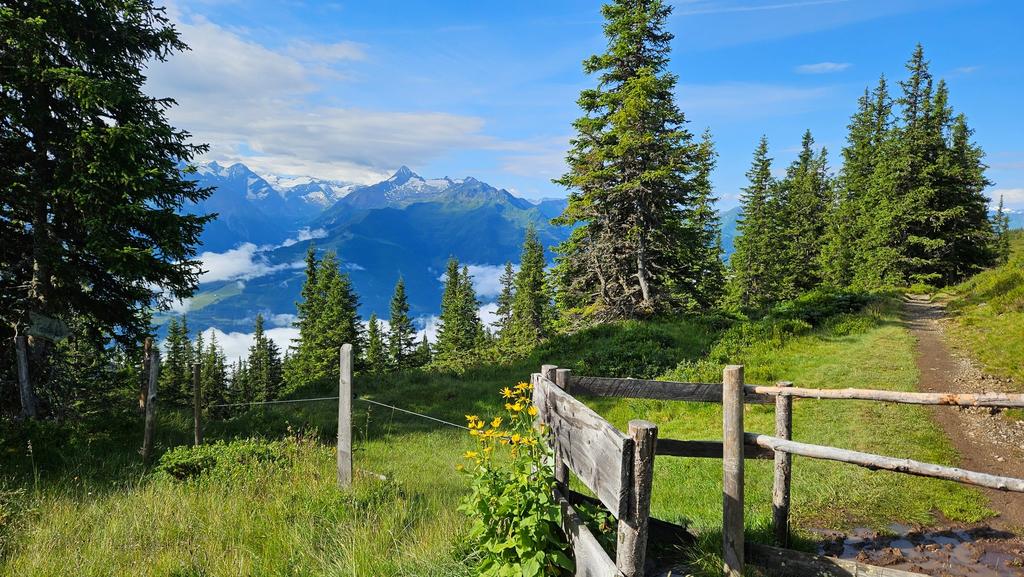 Wanderpfad "Pinzgauer Spaziergang" mit einmaligem Bergpanorama