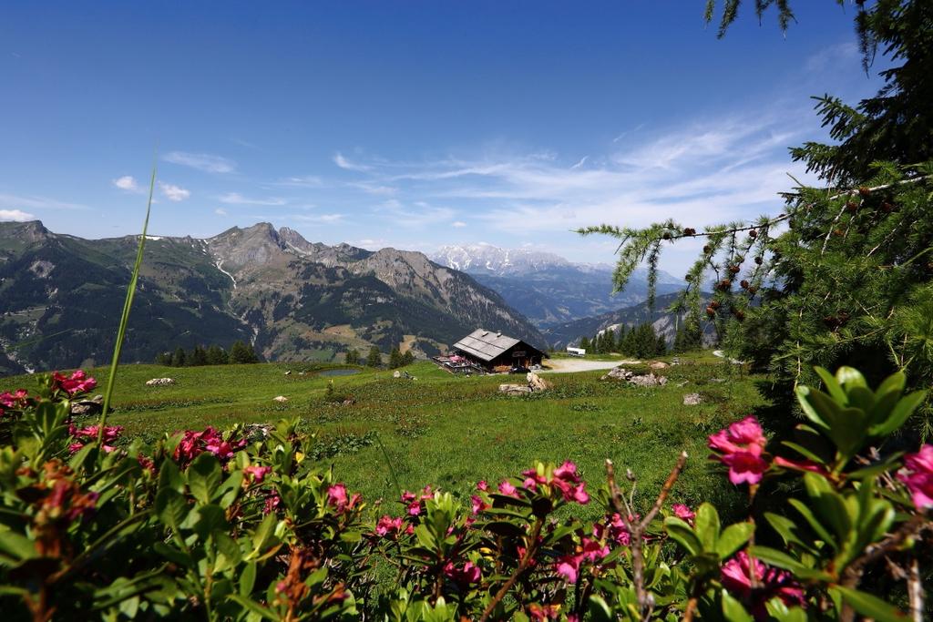 Saukaralm, 1.850 m