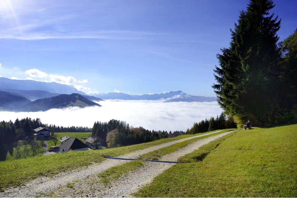 Attersee Panorama