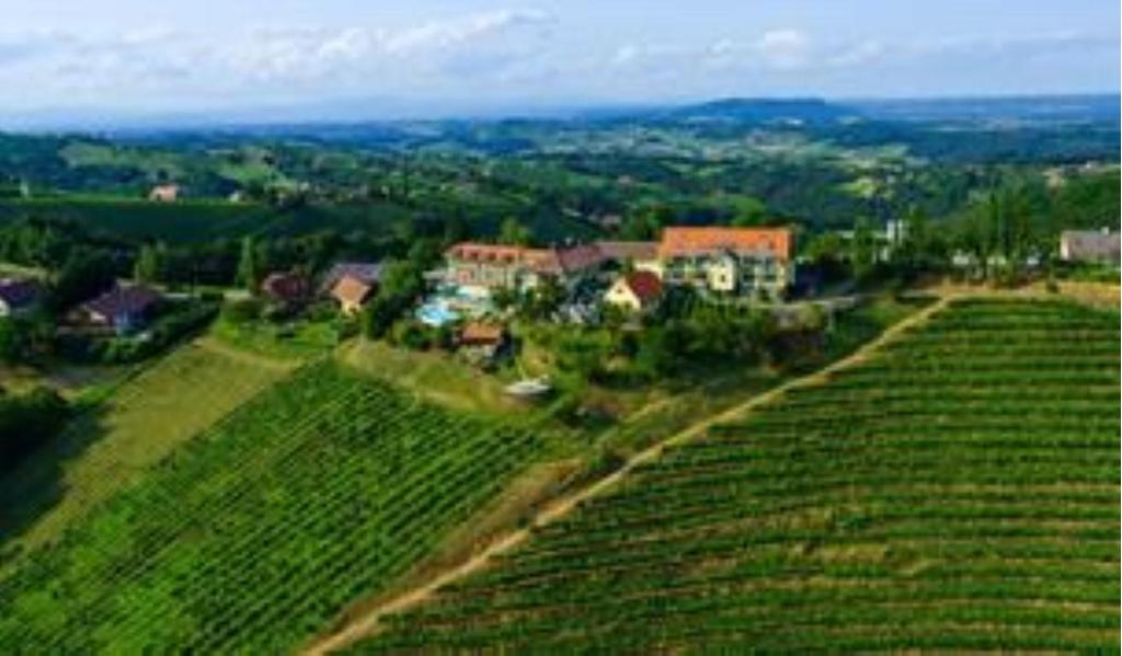 Weinwellnesshotel Weinhof Kappel