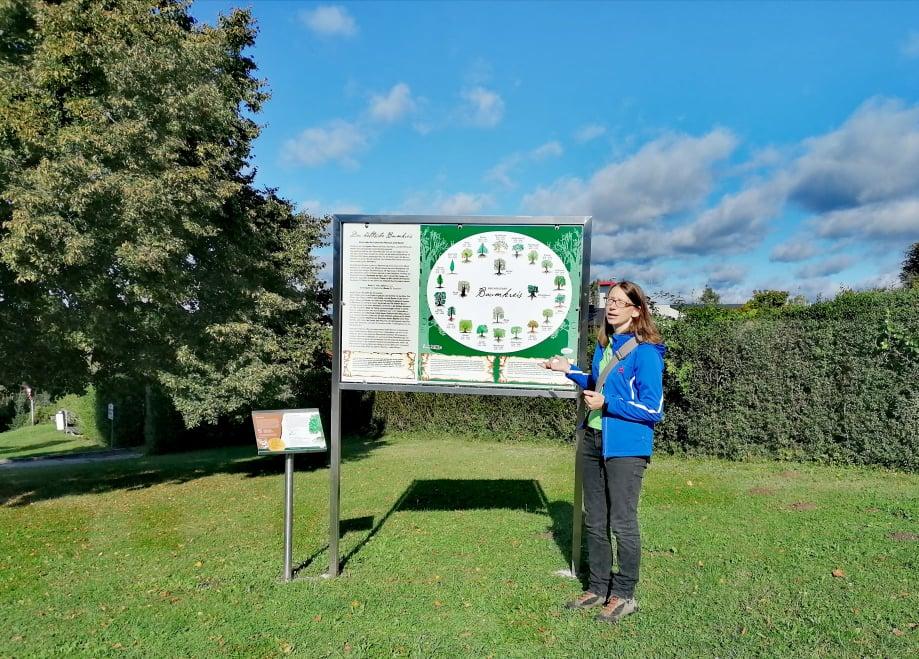 Baumkreisführung