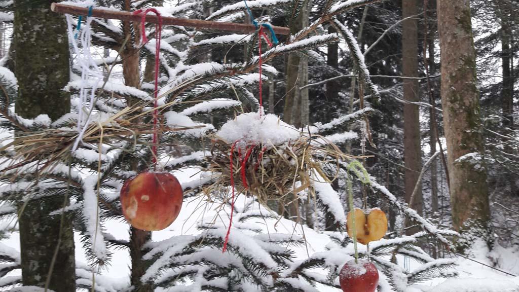 Waldwinterweihnacht tour
