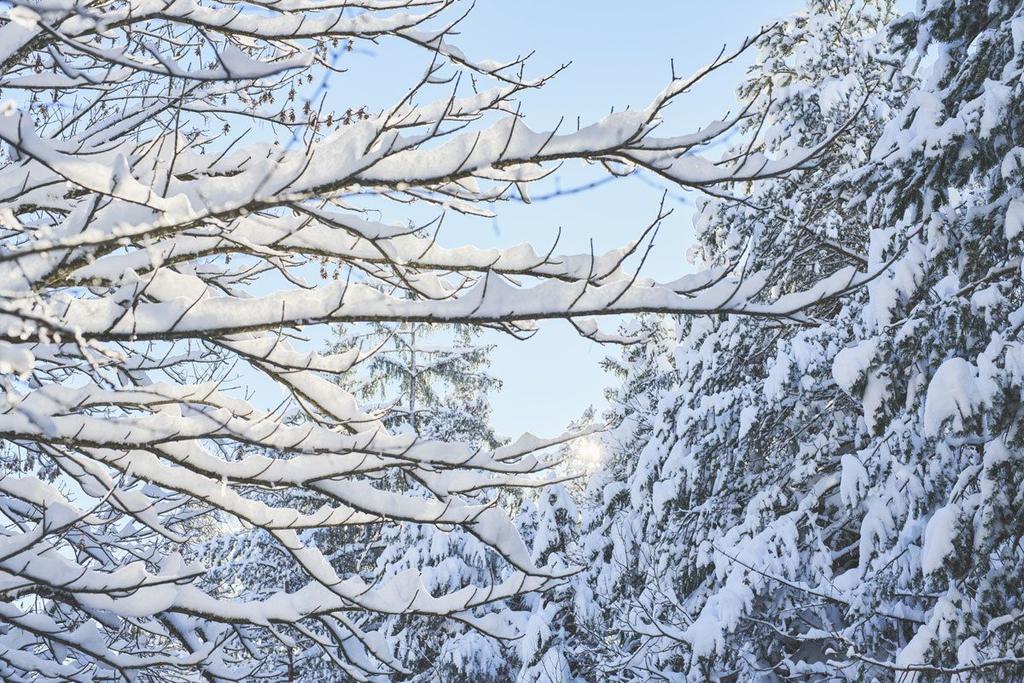 Winterwandern in der Naturparkregion Reutte