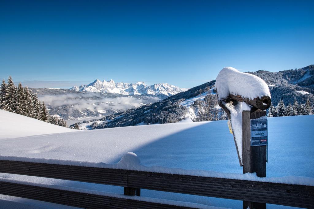 Dachsteinblick