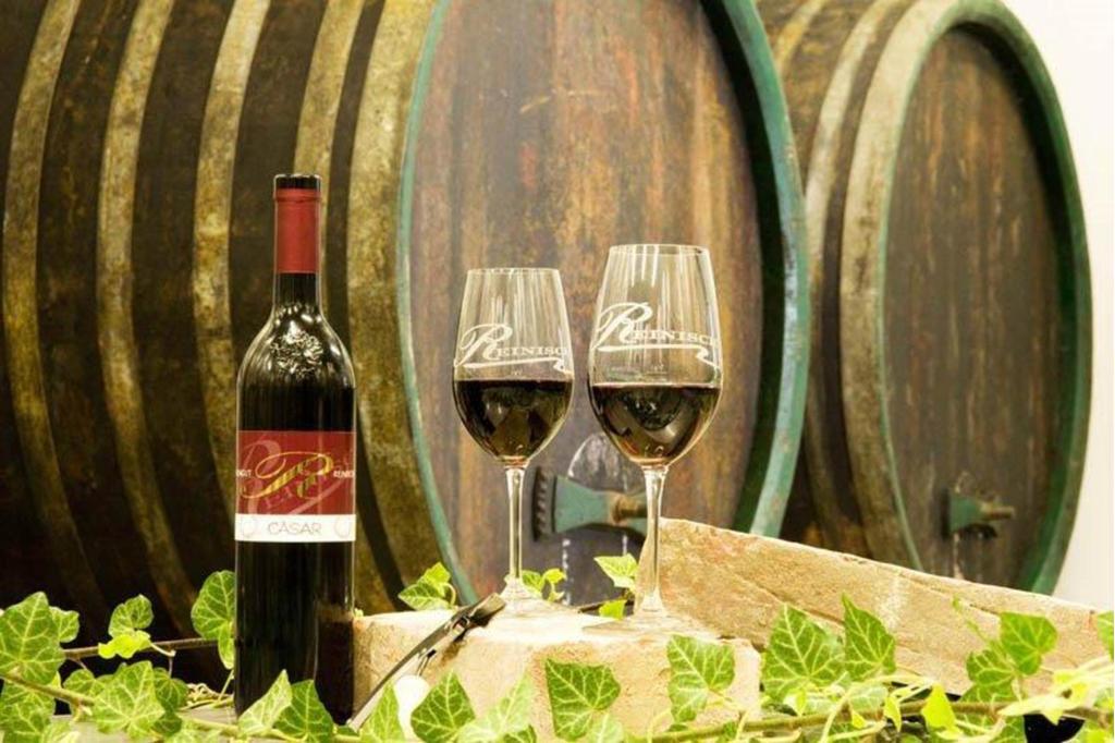 Weinkeller Weingut Reinisch