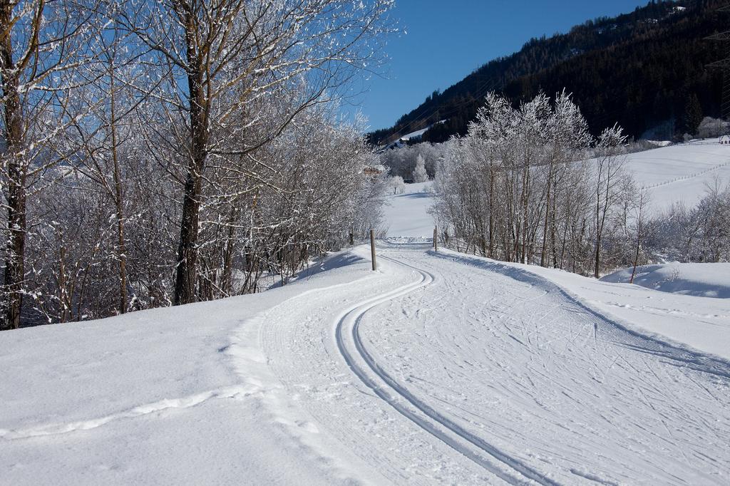Herrliches Ausdauertraining - Langlauf inmitten unberührter Natur